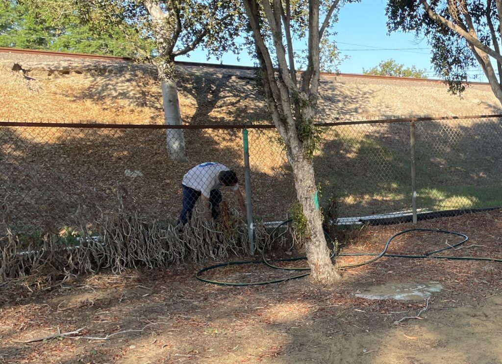 Track work photo 3